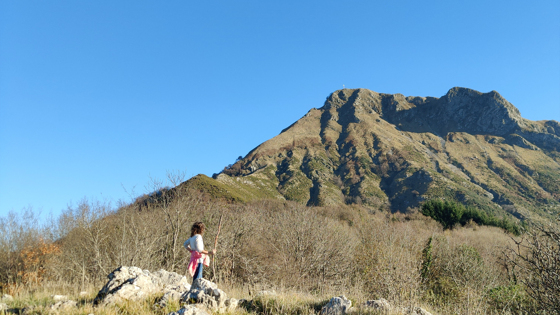 Camp landscape